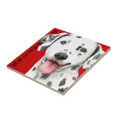 Dalmatiaans kleurenblok tegeltje (Zijkant)