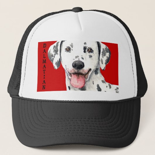 Dalmatiaans kleurenblok trucker pet (Voorkant)
