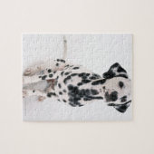 Dalmatiaans Legpuzzel (Horizontaal)