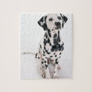 Dalmatiaans Legpuzzel