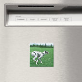 Dalmatiaans Magneet (Insitu (Vaatwasser))
