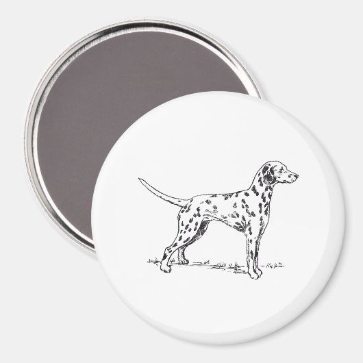 Dalmatiaans Magneet (Voorkant / Achterkant)