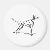 Dalmatiaans Magneet (Voorkant)