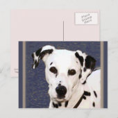 Dalmatiaans "Mayday" ~ Briefkaart (Voorkant / Achterkant)