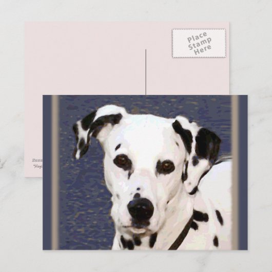 Dalmatiaans "Mayday" ~ Briefkaart (Voorkant / Achterkant)