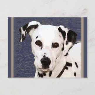 Dalmatiaans "Mayday" ~ Briefkaart