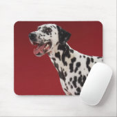 Dalmatiaans Muismat (Met muis)