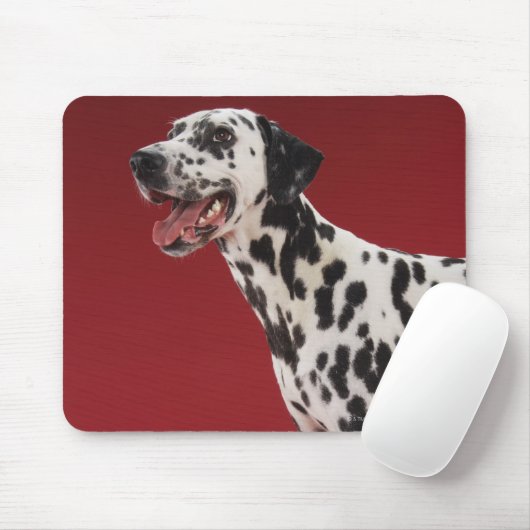 Dalmatiaans Muismat (Met muis)