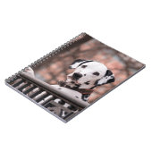 Dalmatiaans Notitieboek (Linkerzijde)