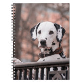 Dalmatiaans Notitieboek (Voorkant)