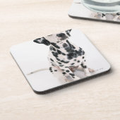 Dalmatiaans Onderzetter (Linkerzijde)
