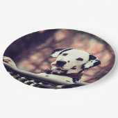 Dalmatiaans Papieren Bordje (Gekanteld)