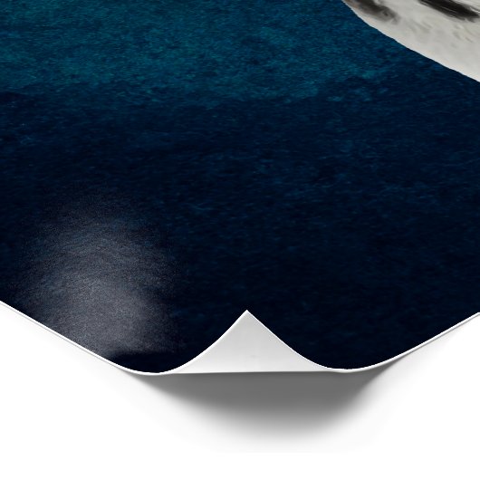 Dalmatiaans Perfect Poster (Hoek)