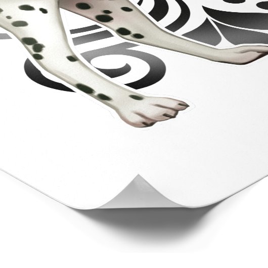 Dalmatiaans Poster (Hoek)