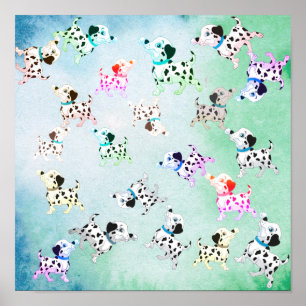 Dalmatiaans Poster