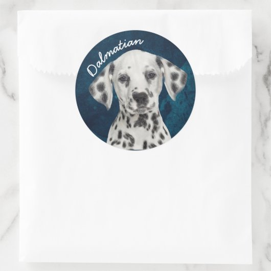 Dalmatiaans Ronde Sticker (Tas)