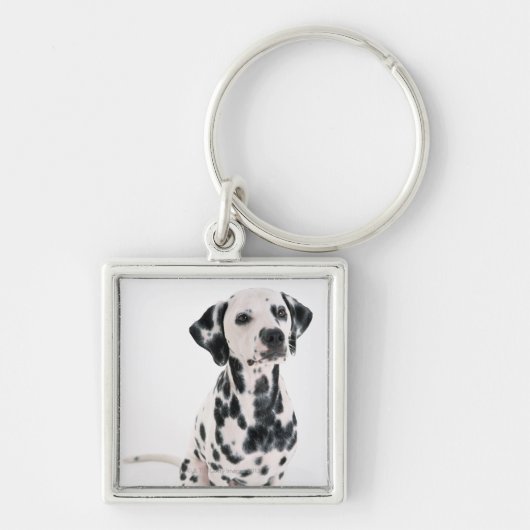 Dalmatiaans Sleutelhanger (Voorkant)