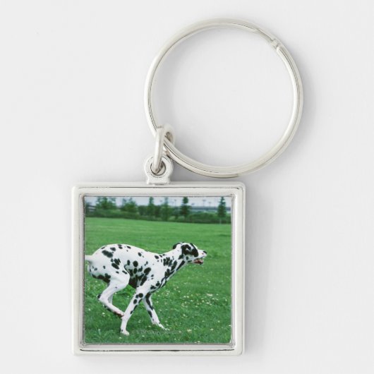 Dalmatiaans Sleutelhanger (Voorkant)