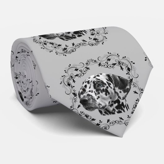 Dalmatiaans Stropdas (Opgerold)