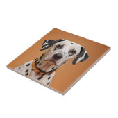 Dalmatiaans Tegeltje (Zijkant)