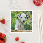 Dalmatiaanse Baby Dog Puppy Foto van Cute Black sp Servetten (Insitu)