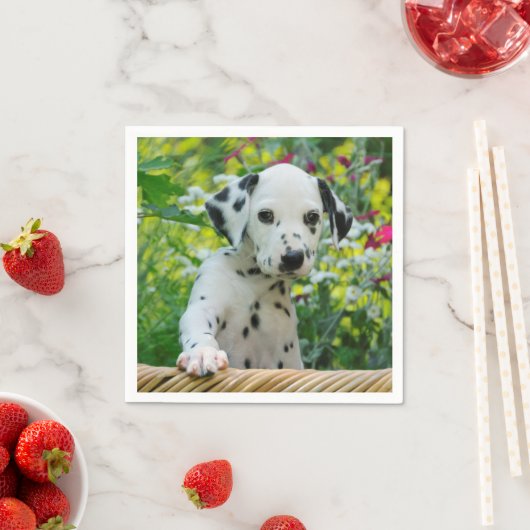 Dalmatiaanse Baby Dog Puppy Foto van Cute Black sp Servetten (Insitu)