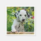 Dalmatiaanse Baby Dog Puppy Foto van Cute Black sp Servetten (Voorkant)