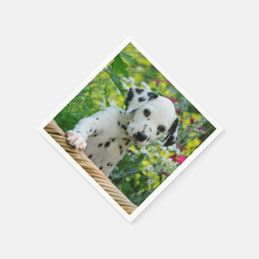 Dalmatiaanse Baby Dog Puppy Foto van Cute Black sp Servetten (Hoek)