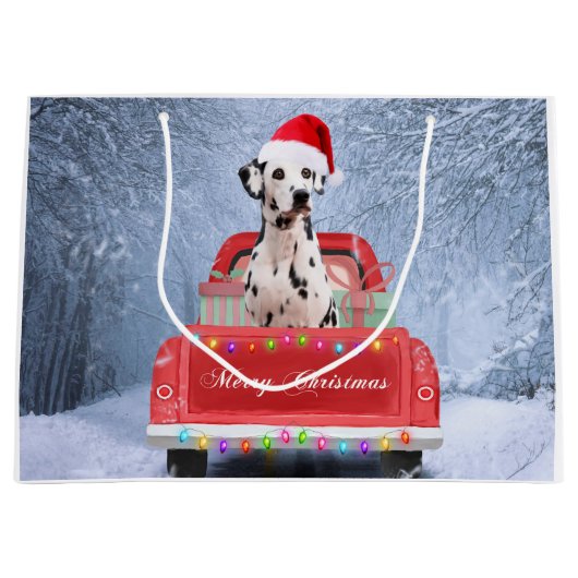 Dalmatiaanse hond op sneeuw in kerstmis groot cadeauzakje (Voorkant)