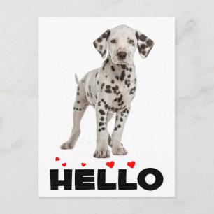 Dalmatiaanse puppy Dog Hallo denken aan jou Briefkaart