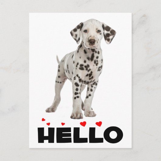 Dalmatiaanse puppy Dog Hallo denken aan jou Briefkaart (Voorkant)