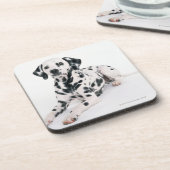 Dalmatian 4 bier onderzetter (Linkerzijde)