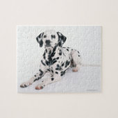 Dalmatian 4 legpuzzel (Horizontaal)