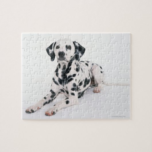 Dalmatian 4 legpuzzel (Horizontaal)