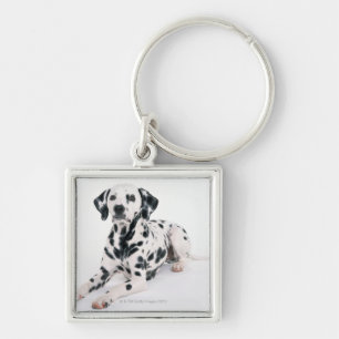 Dalmatian 4 sleutelhanger