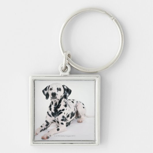 Dalmatian 4 sleutelhanger (Voorkant)