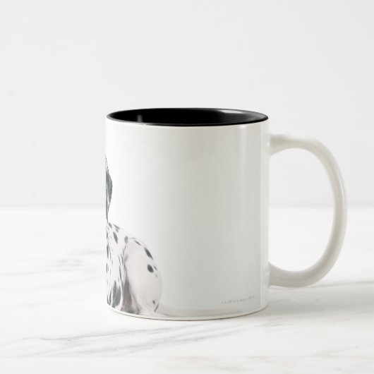 Dalmatian 4 tweekleurige koffiemok (Rechts)