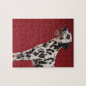 Dalmatian 6 legpuzzel (Horizontaal)