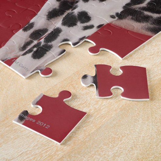Dalmatian 6 legpuzzel (Zijkant)