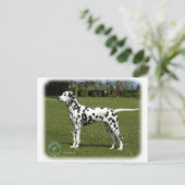 Dalmatian 9T085D-119 Briefkaart (Staand voorkant)