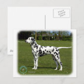 Dalmatian 9T085D-119 Briefkaart (Voorkant / Achterkant)