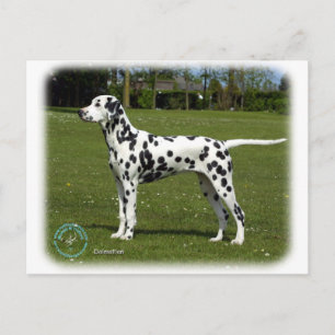 Dalmatian 9T085D-119 Briefkaart