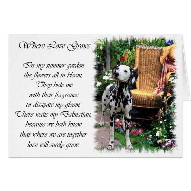 Dalmatian Art Gifts (Voorkant Horizontaal)