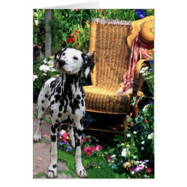 Dalmatian Art Gifts