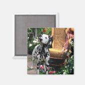 Dalmatian Art Gifts Magneet (Voorkant / Achterkant)