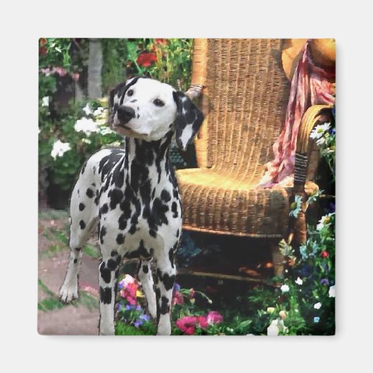 Dalmatian Art Gifts Magneet (Voorkant)