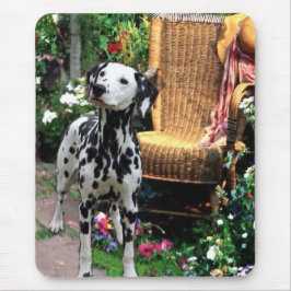 Dalmatian Art Gifts Muismat
