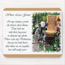 Dalmatian Art Gifts