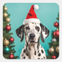 Dalmatian Christmas