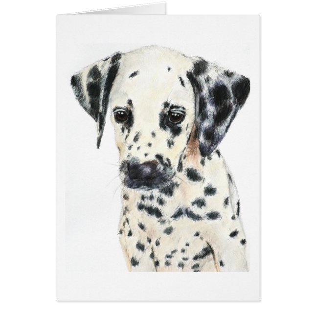 Dalmatian Dog Art (Voorkant)